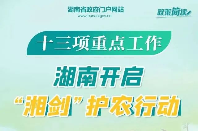 鱼化寨最新招聘启事，携手人才，共创美好未来