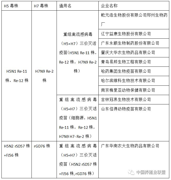 全球禽流感最新态势，数据更新与应对策略探讨